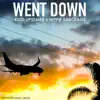 Went Down (feat. Hippie Sabotage) - Single album lyrics, reviews, download