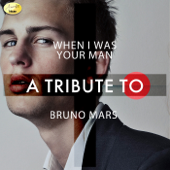 When I Was Your Man - A Tribute to Bruno Mars - Ameritz - Tribtues