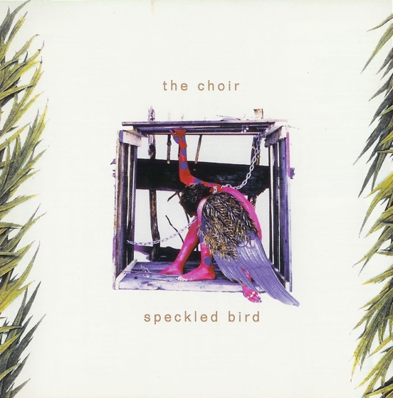 Cover artwork for Amazing