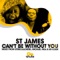 Cant Be Without You (Stereojackers Remix) - St. James lyrics