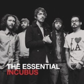 Incubus - Nice to Know You