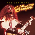 Ted Nugent - Stormtroopin'