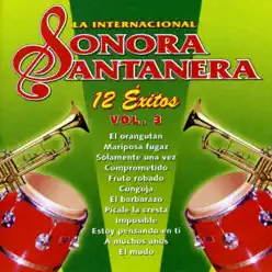 12 Éxitos - La Internacional Sonora Santanera, Vol. 3 - La Sonora Santanera