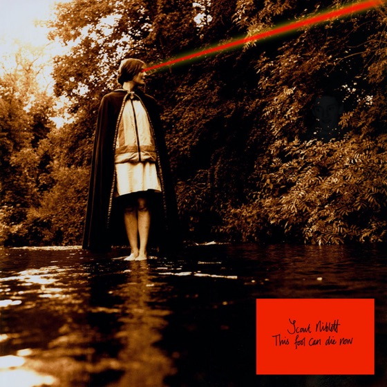 Cover artwork for Nevada