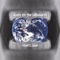 Police In the Kitchen - Robert Ziino lyrics