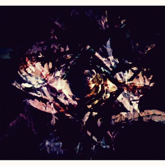 Cover artwork for Rites of Spring