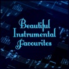 Beautiful Instrumental Favourites artwork