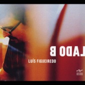 Slo-Mo (feat. João Moreira, Mário Franco, Alexandre Frazão & Ricardo Toscano) artwork