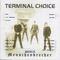 She's the Devil - Terminal Choice lyrics