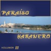 Paraíso Habanero III, 1905