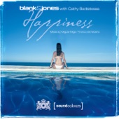 Happiness (Remixes) [with Cathy Battistessa] artwork