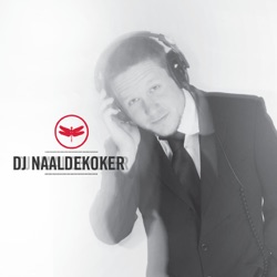 dj naaldekoker meltdown free mp3