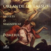 Orlande de Lassus: Motets & Magnificat artwork