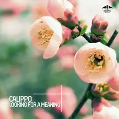 Looking for a Meaning - EP by Calippo album reviews, ratings, credits