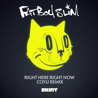 Right Here Right Now (Coyu Remix) - Single - Fatboy Slim