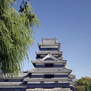 Matsumoto Welcomes You! cover