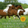 Mark Rashid - A Good Horse Is Never a Bad Color: Tales of Training Through Communication and Trust - 2nd Edition, Revised & Updated (Unabridged)