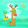 Tropical Christmas