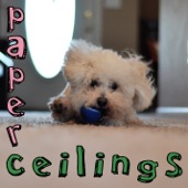 Paper Ceilings - Billy Was a Punk (But Now He's Dead)