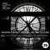 No Time To Lose (Blood Groove & Kikis Remix) song reviews