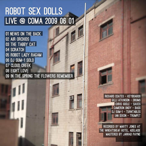 Hotel Robot Sex