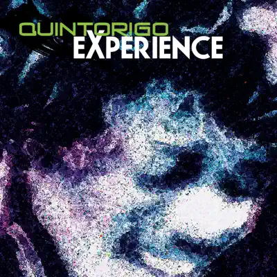 Quintorigo Experience - Quintorigo
