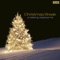 The Four Seasons: L'Inverno (Winter): II. Largo - Boston Symphony Orchestra, Joseph Silverstein & Seiji Ozawa lyrics