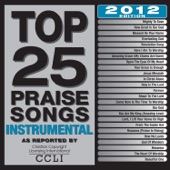 Top 25 Praise Songs Instrumental - 2012 Edition artwork