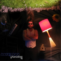Basement Skylights - Strings