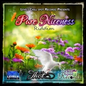 Pure Niceness Riddim (Levels & Chillspot Recordz Presents) artwork