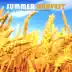 Summer Harvest album cover