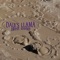 Creosote - Dali's Llama lyrics