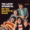 The Lovin' Spoonful - Did You Ever Have to Make up Your Mind?