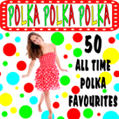 Polka Polka Polka - 50 All Time Favorites - Fat Louie Szykowski & The Big Polka Band