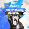 Stream & download Crazy Monkey - Single