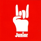 Junior - Dirt Bike Rider