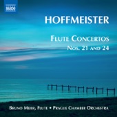 Flute Concerto No. 24 in D major: II. Alla polacca ma lento artwork