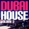 Dubai (Dimitri Vegas & Like Mike Remix) - Philip Jensen lyrics