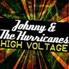 Johnny & The Hurricanes - Rocking Goose