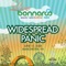 Pilgrims - Widespread Panic lyrics