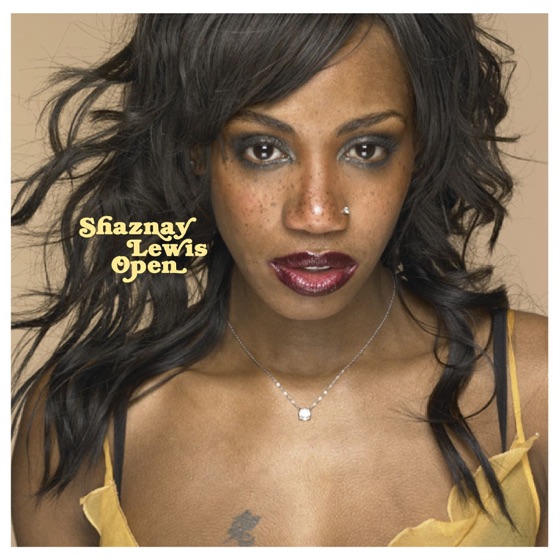 Cover artwork for Nasty Boy
