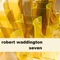 Sun Punisher, Part Three - Robert Waddington lyrics