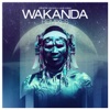 Wakanda (The Remixes) - Single artwork