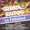 La Felicidad: Grandes Éxitos, 2009