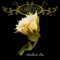 Airfield - The Ambient Society lyrics
