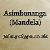 Asimbonanga (Mandela) artwork