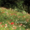 Serenity