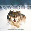 Legend of the Wolf album lyrics, reviews, download
