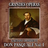 Gaetano Donizett: Grandes Operas. Don Pasquale (Volumen I) artwork