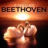 If You Like Beethoven artwork